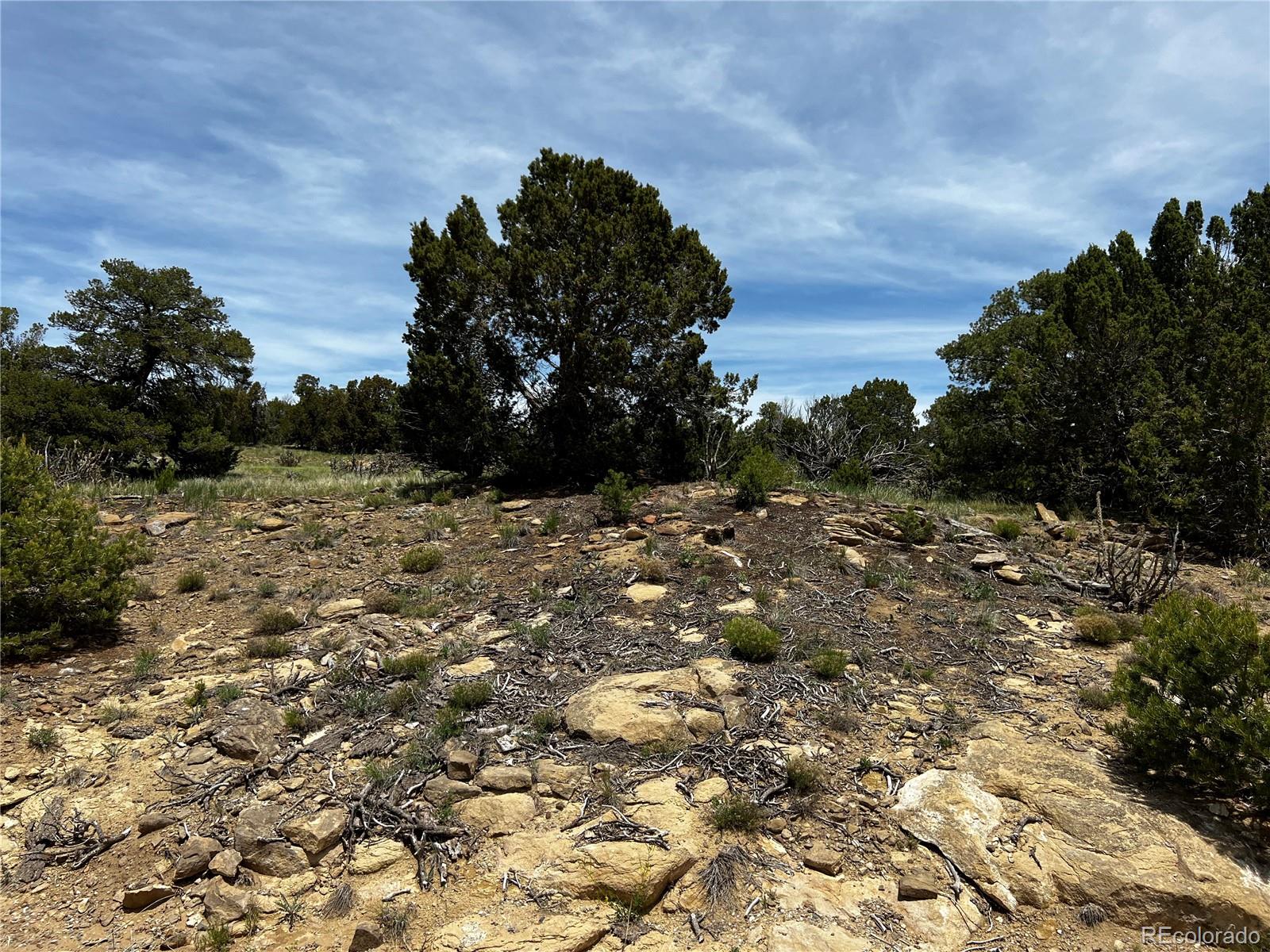 Lot 589 La Deora Boulevard, Walsenburg, CO 81089, ,Land,For Sale,La Deora,REC7823031