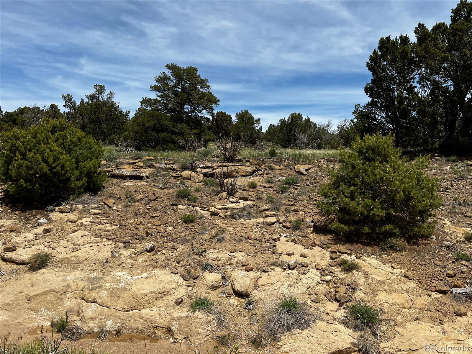 Lot 589 La Deora Boulevard, Walsenburg, CO 81089, ,Land,For Sale,La Deora,REC7823031