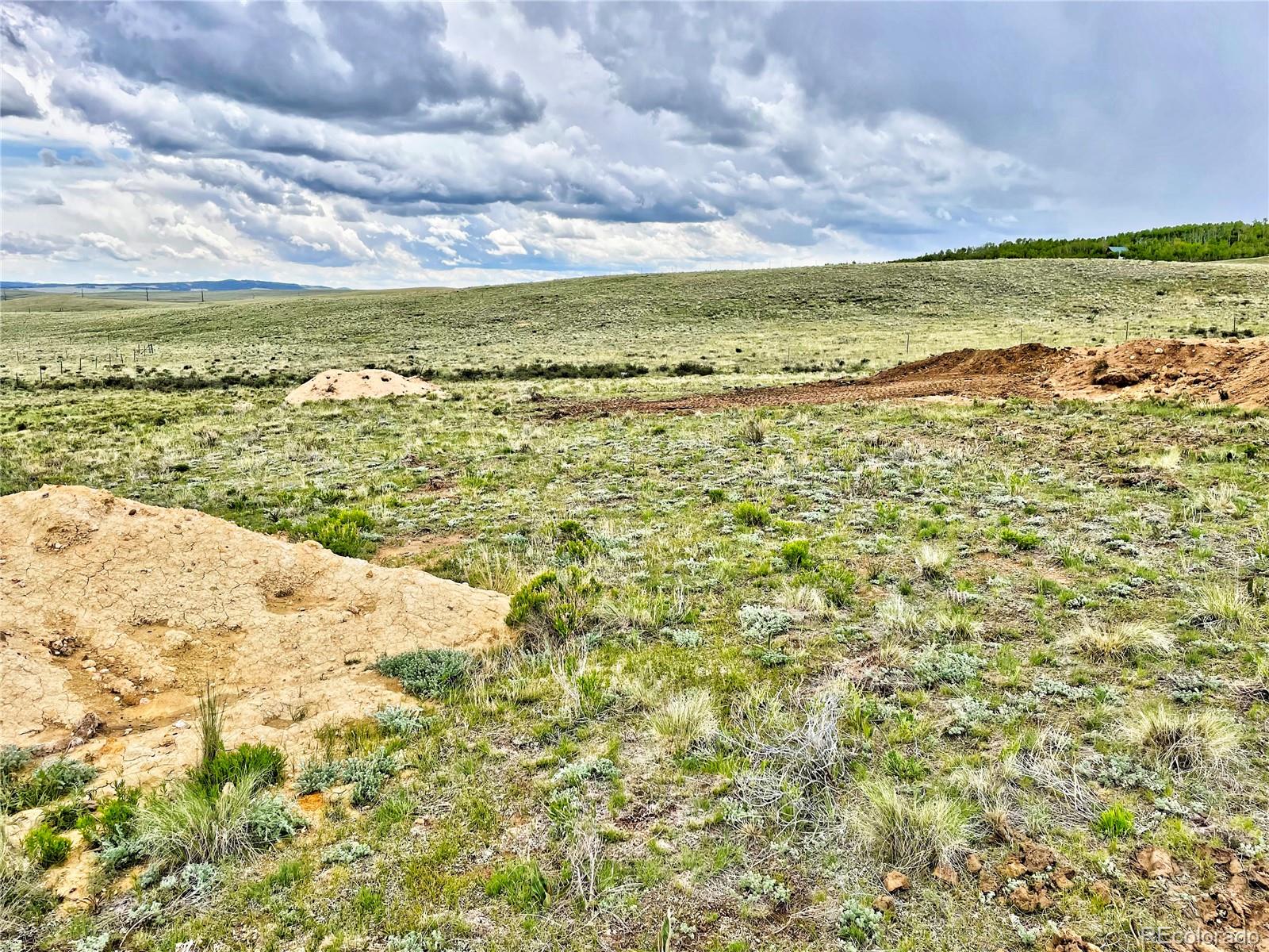 300 Swandyke Court, Jefferson, CO 80456, ,Land,For Sale,Swandyke,REC5674465