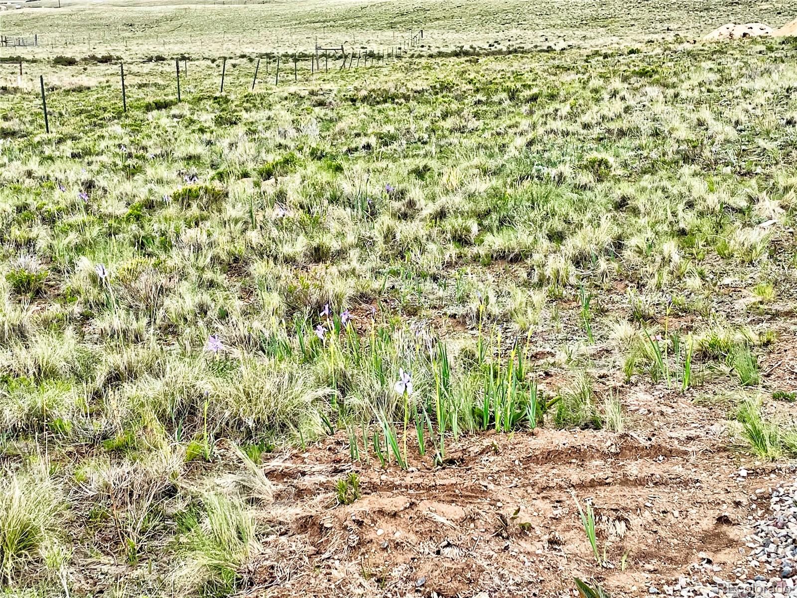 300 Swandyke Court, Jefferson, CO 80456, ,Land,For Sale,Swandyke,REC5674465
