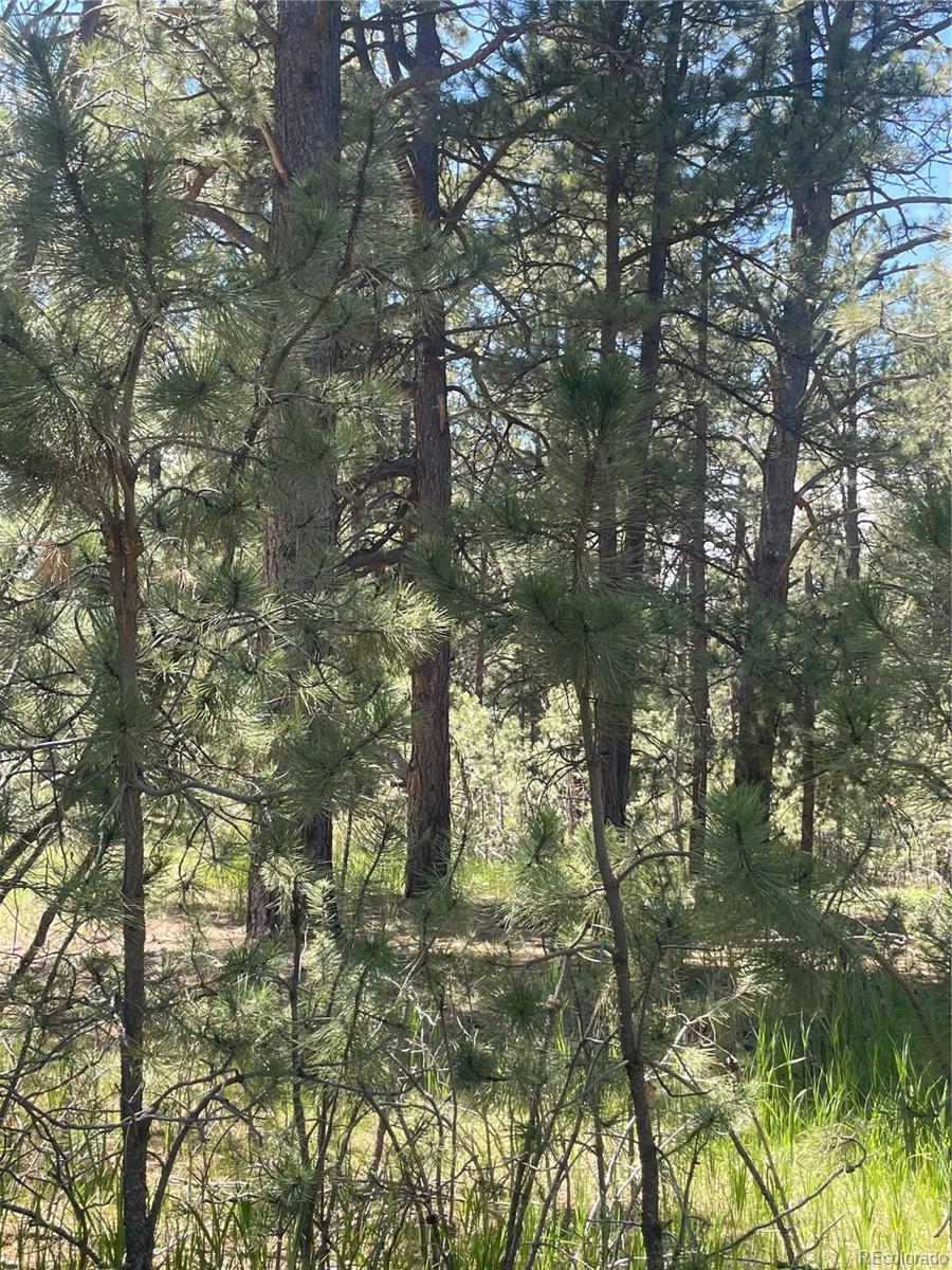 35681 Hobnail Court, Elizabeth, CO 80107, ,Land,For Sale,Hobnail,REC4199029