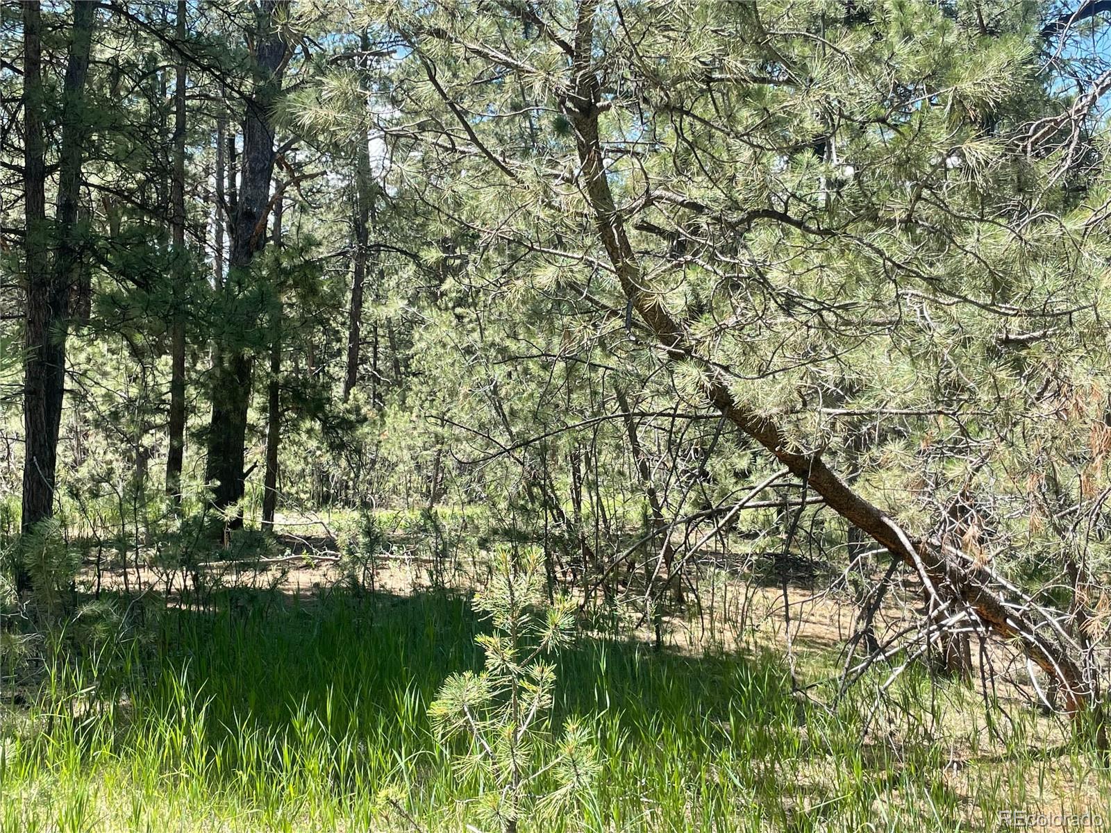 35681 Hobnail Court, Elizabeth, CO 80107, ,Land,For Sale,Hobnail,REC4199029