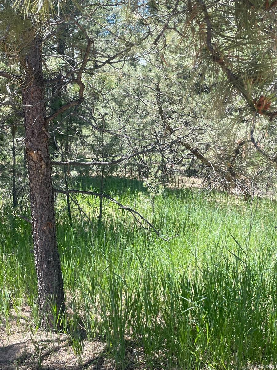 35681 Hobnail Court, Elizabeth, CO 80107, ,Land,For Sale,Hobnail,REC4199029