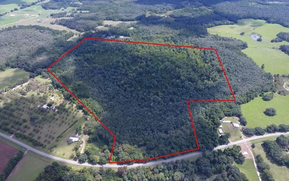 1950 LOVETT RD, Other City - In The State Of Florida, FL 32331, ,Land,For Sale,LOVETT RD,A11554622
