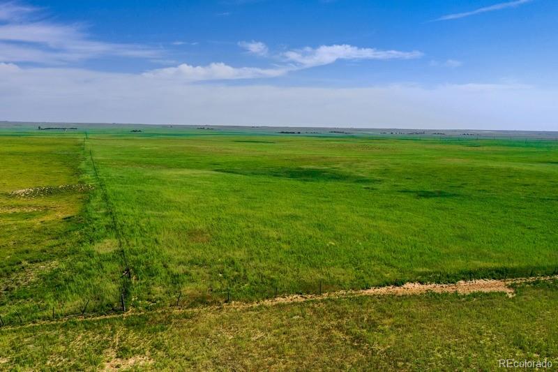37675 Fossinger Road, Rush, CO 80833, ,Land,For Sale,Fossinger,REC7892677