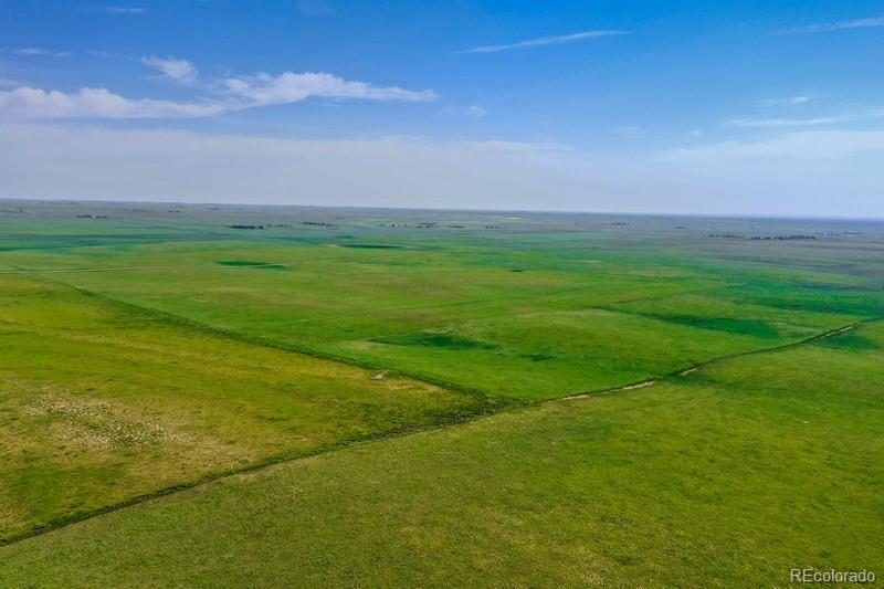 37675 Fossinger Road, Rush, CO 80833, ,Land,For Sale,Fossinger,REC7892677