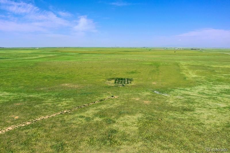 37675 Fossinger Road, Rush, CO 80833, ,Land,For Sale,Fossinger,REC7892677