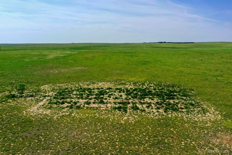 37675 Fossinger Road, Rush, CO 80833, ,Land,For Sale,Fossinger,REC7892677