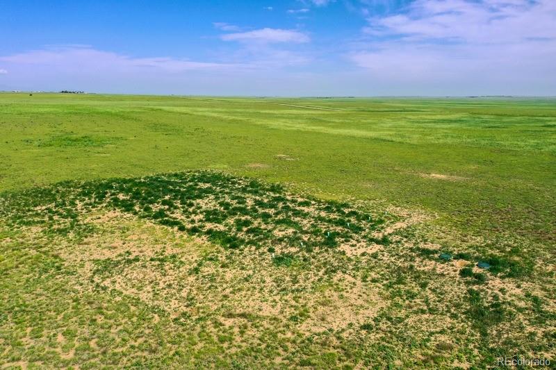 37675 Fossinger Road, Rush, CO 80833, ,Land,For Sale,Fossinger,REC7892677