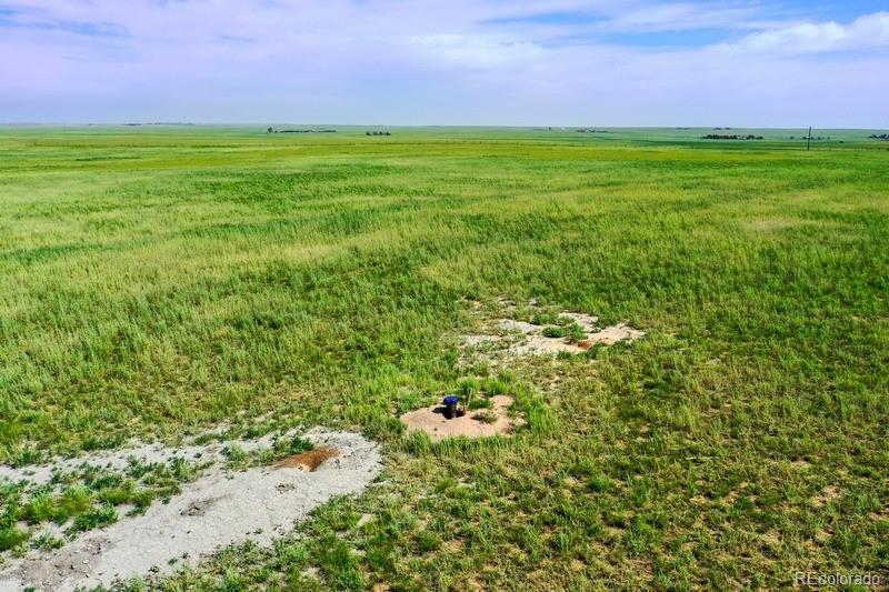 37675 Fossinger Road, Rush, CO 80833, ,Land,For Sale,Fossinger,REC7892677
