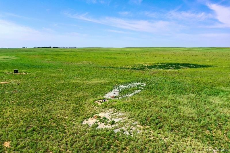 37675 Fossinger Road, Rush, CO 80833, ,Land,For Sale,Fossinger,REC7892677