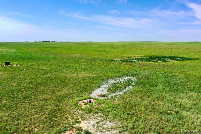 37675 Fossinger Road, Rush, CO 80833, ,Land,For Sale,Fossinger,REC7892677