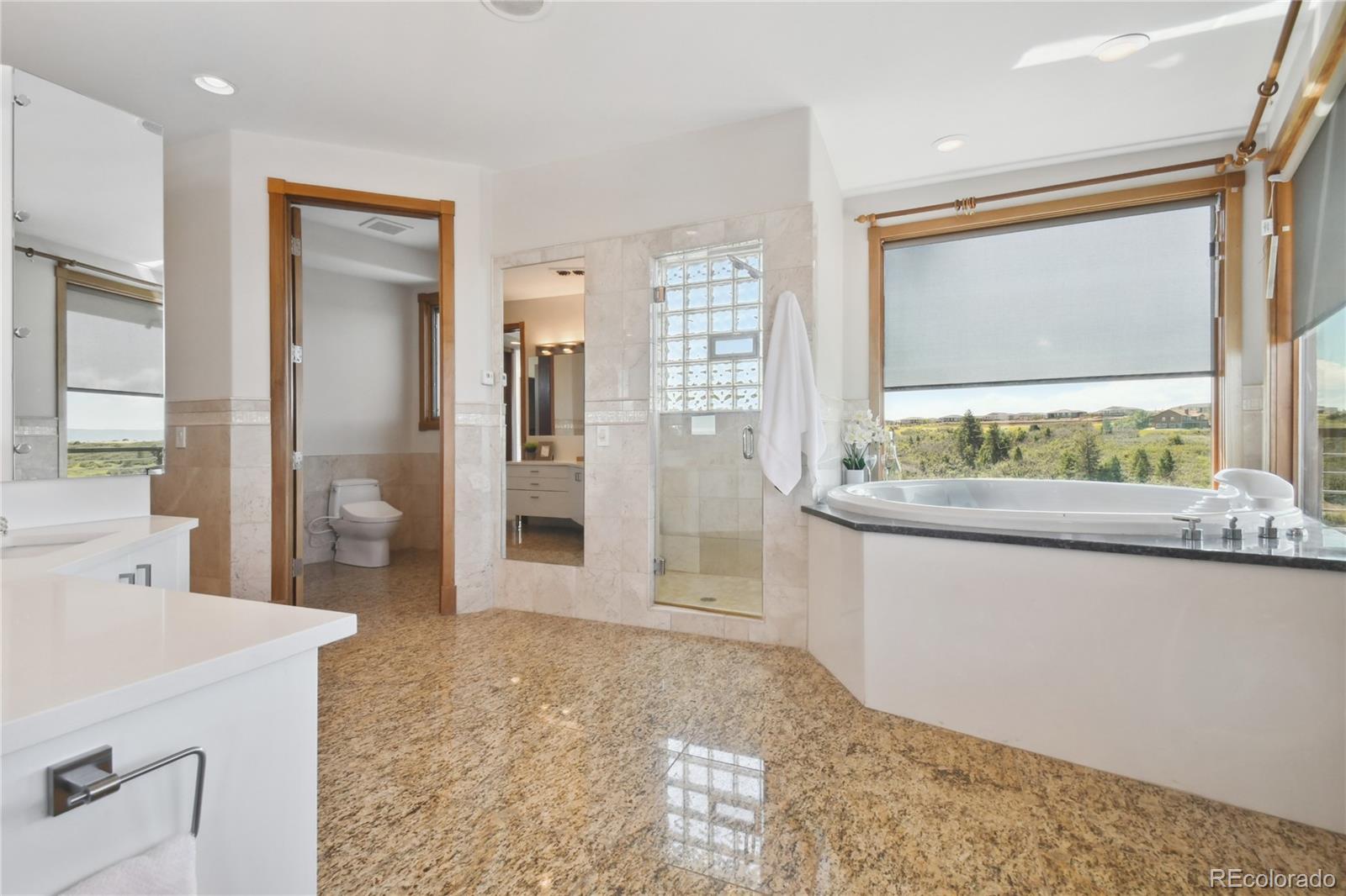 1175 Ridge Oaks Drive, Castle Rock, CO 80104, 5 Bedrooms Bedrooms, ,7 BathroomsBathrooms,Residential,For Sale,Ridge Oaks,REC3400466