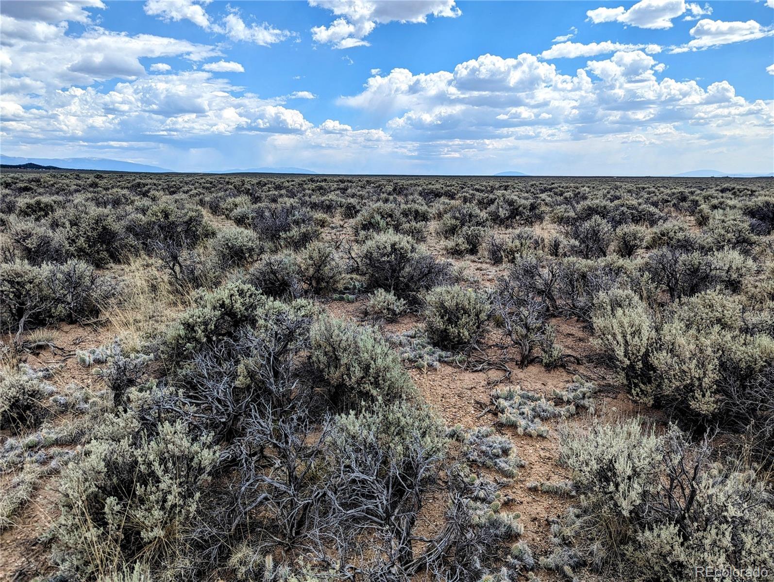 Lot 4 Dante Road, Fort Garland, CO 81133, ,Land,For Sale,Dante,REC6426937