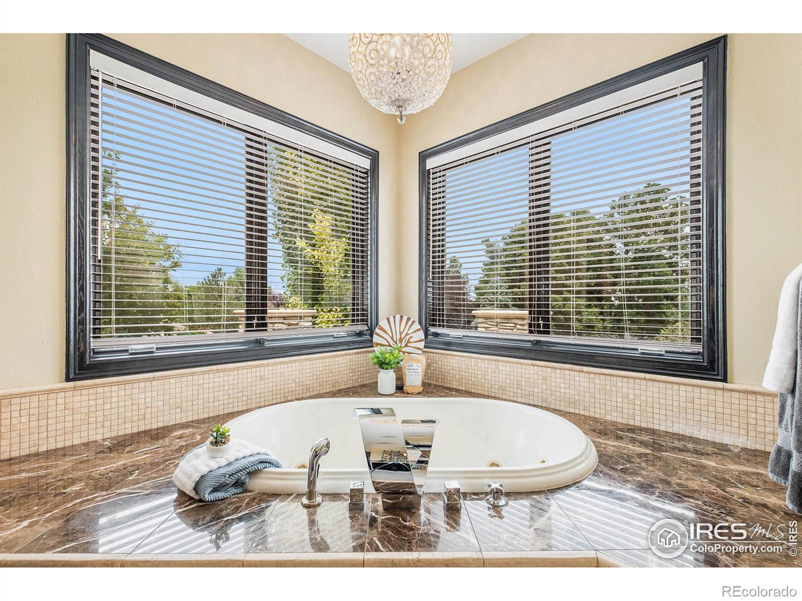 1496 Eagle Court, Windsor, CO 80550, 6 Bedrooms Bedrooms, ,8 BathroomsBathrooms,Residential,For Sale,Eagle,RECIR994267