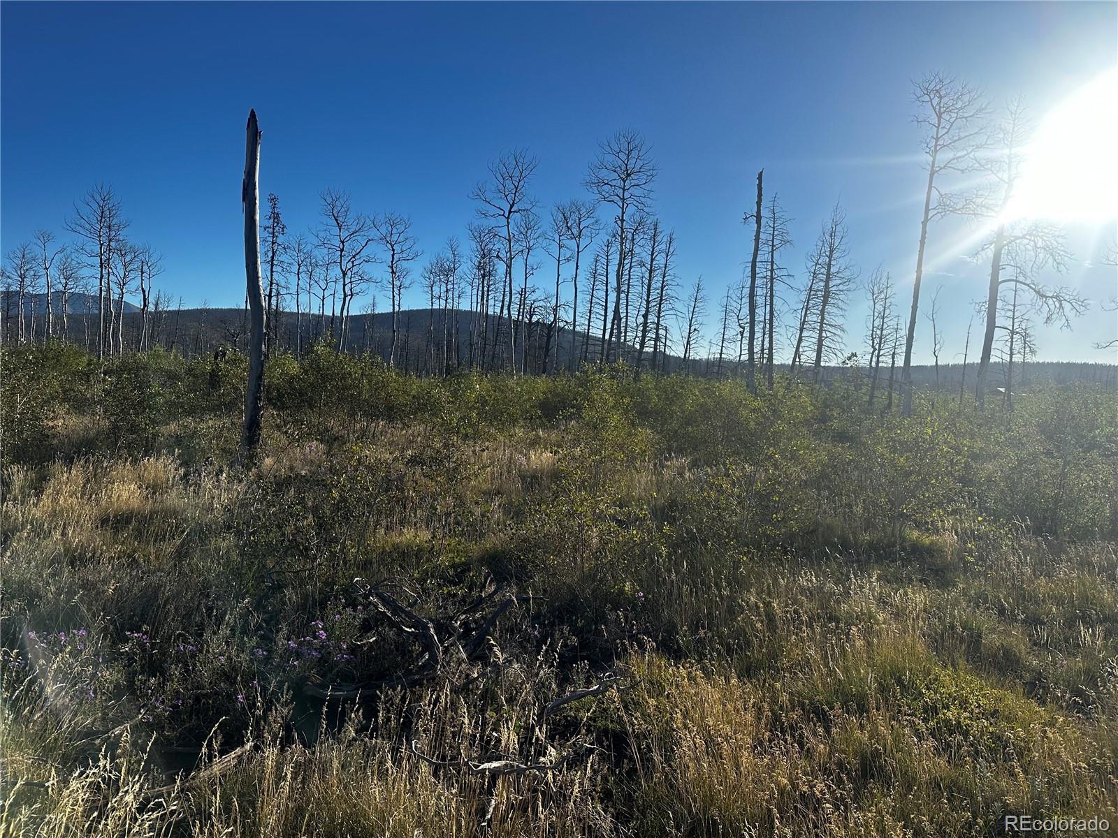 1312 Claytor Lane, Fort Garland, CO 81133, ,Land,For Sale,Claytor,REC9289608