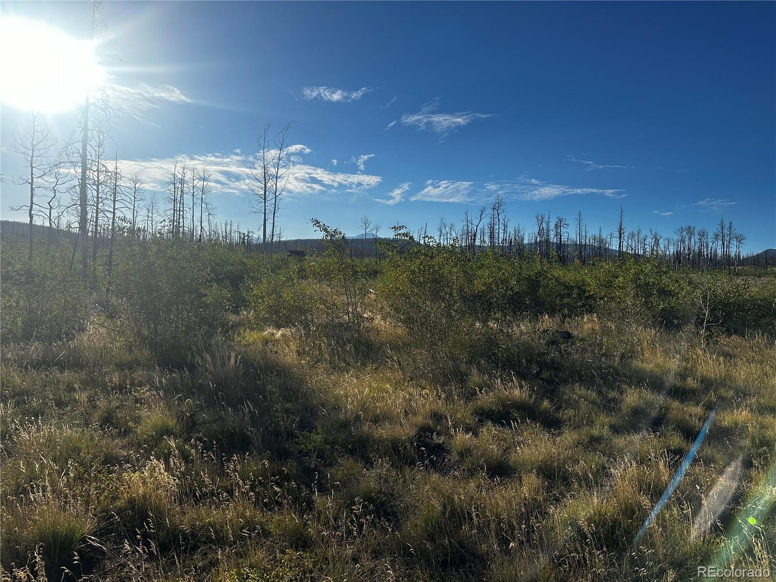 1312 Claytor Lane, Fort Garland, CO 81133, ,Land,For Sale,Claytor,REC9289608