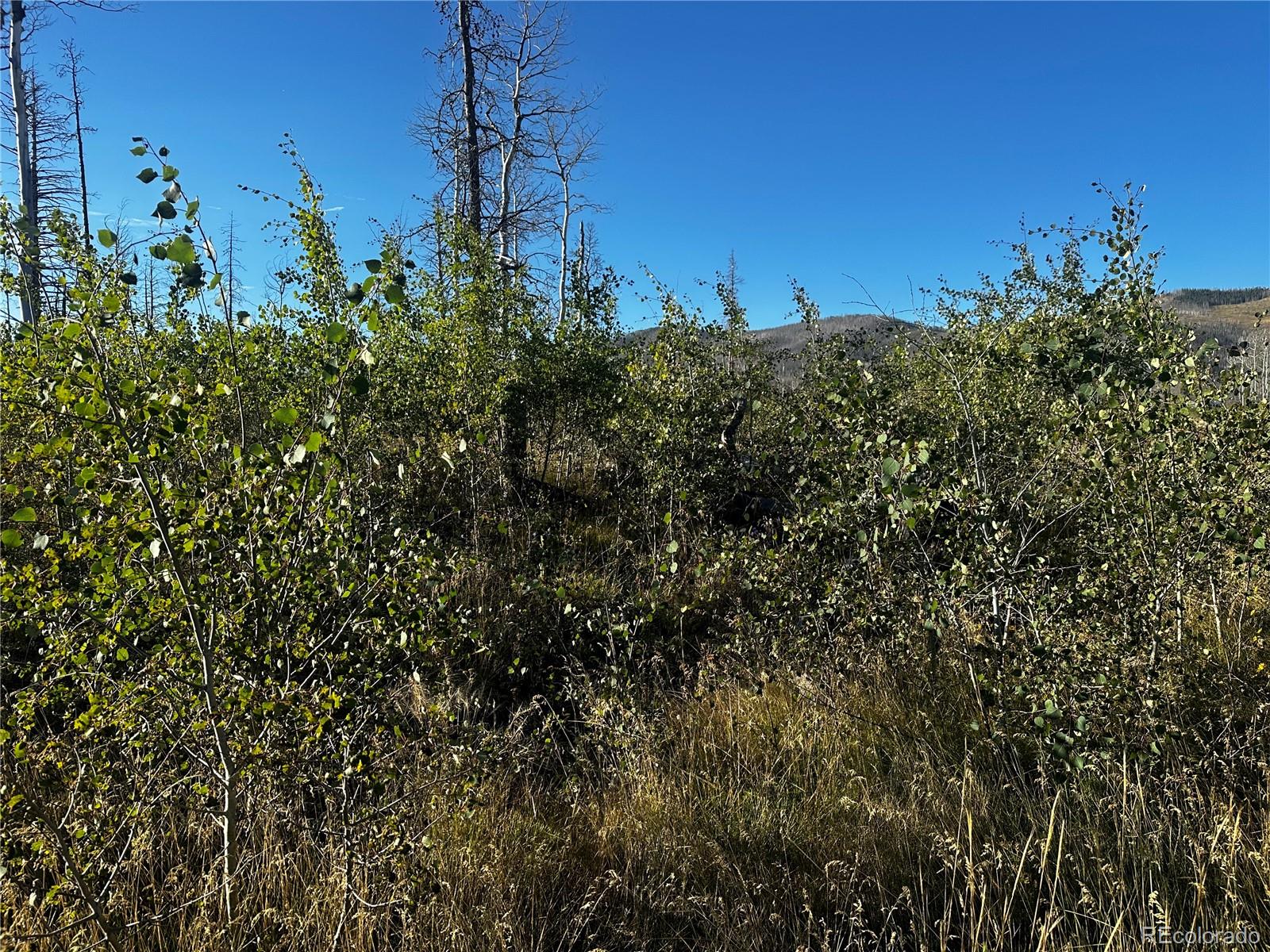 1312 Claytor Lane, Fort Garland, CO 81133, ,Land,For Sale,Claytor,REC9289608