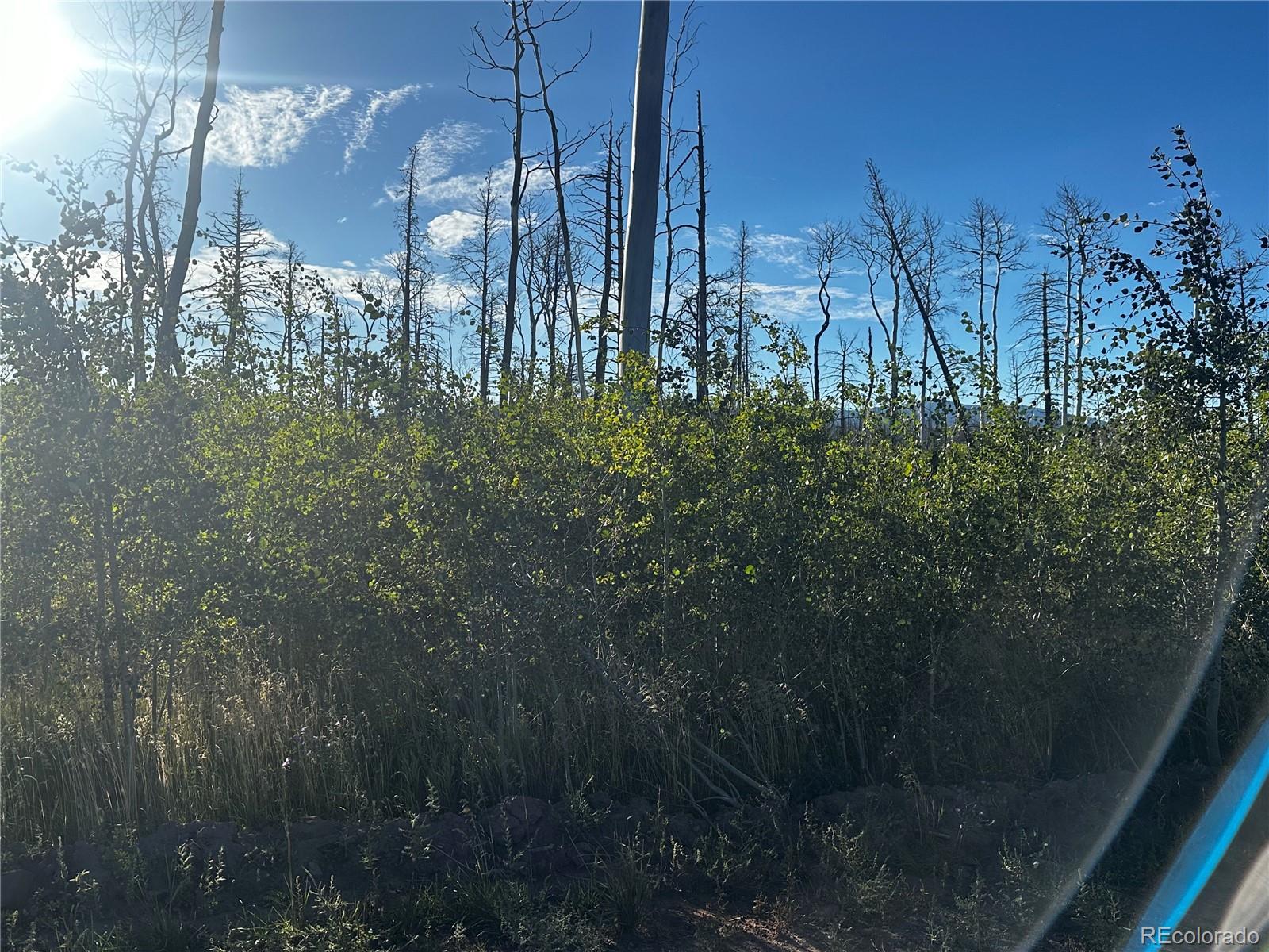1312 Claytor Lane, Fort Garland, CO 81133, ,Land,For Sale,Claytor,REC9289608