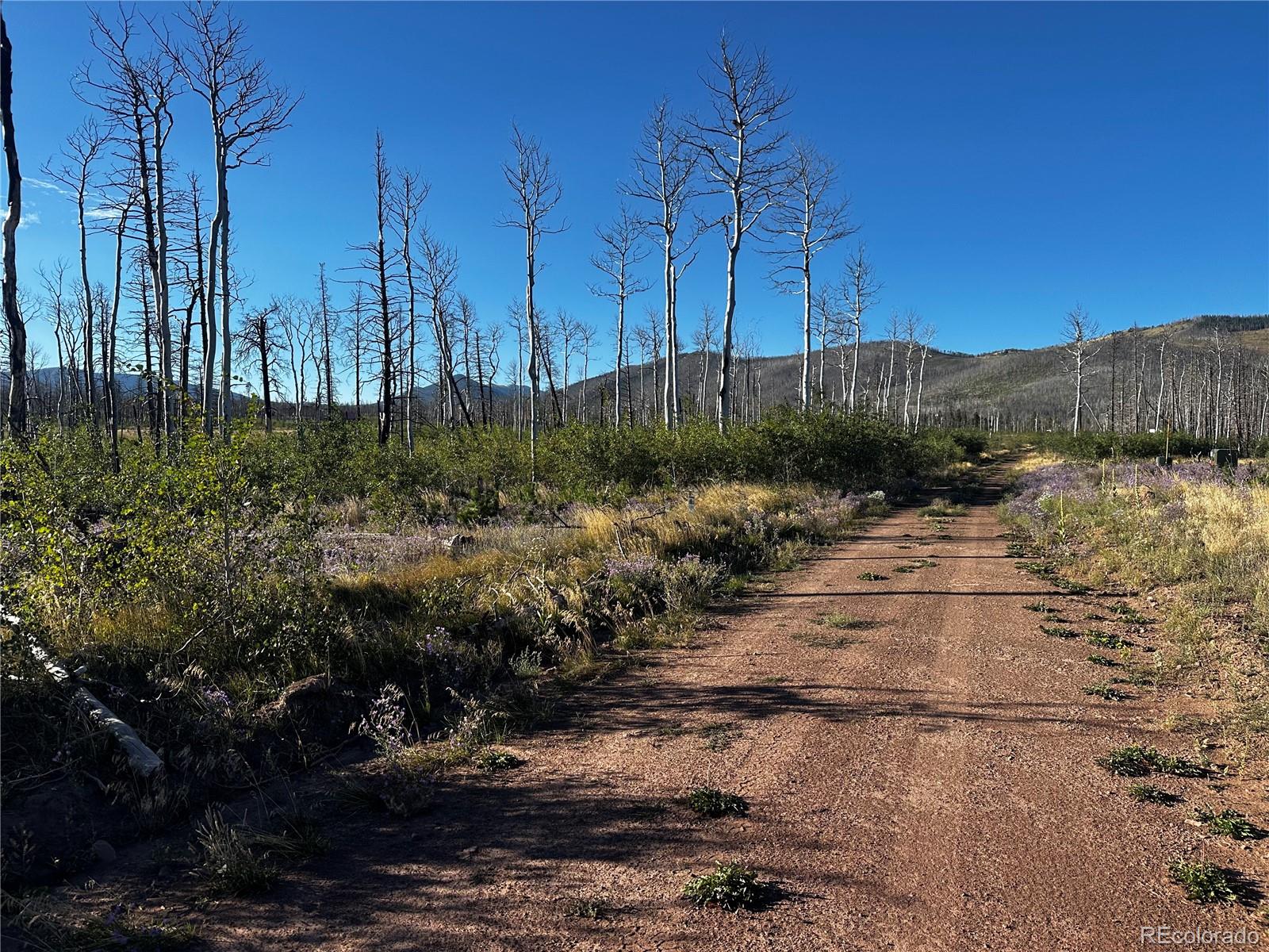1310 Claytor Lane, Fort Garland, CO 81133, ,Land,For Sale,Claytor,REC3782734