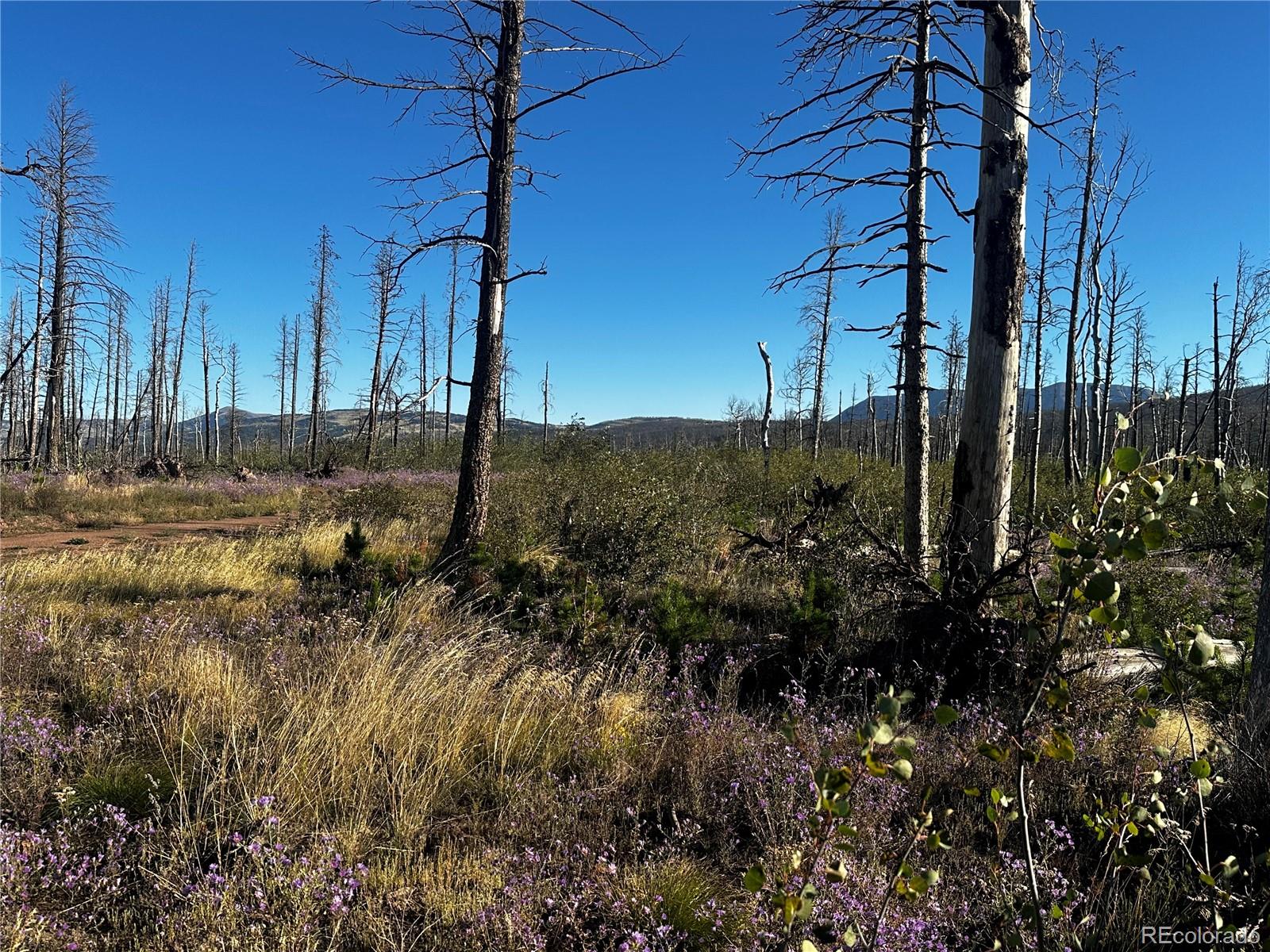 1310 Claytor Lane, Fort Garland, CO 81133, ,Land,For Sale,Claytor,REC3782734