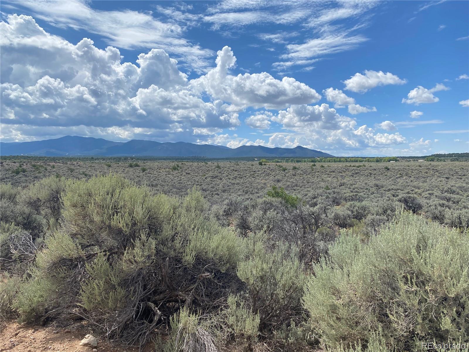 Slegers Road, Fort Garland, CO 81133, ,Land,For Sale,Slegers,REC5421849
