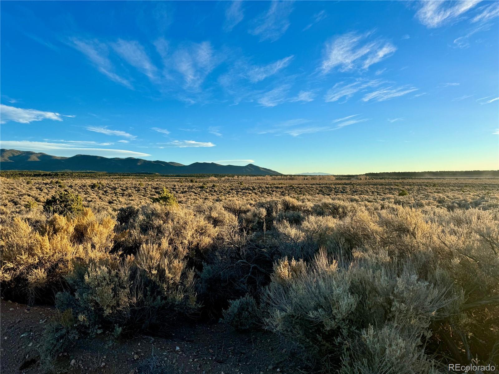 Slegers Road, Fort Garland, CO 81133, ,Land,For Sale,Slegers,REC5421849