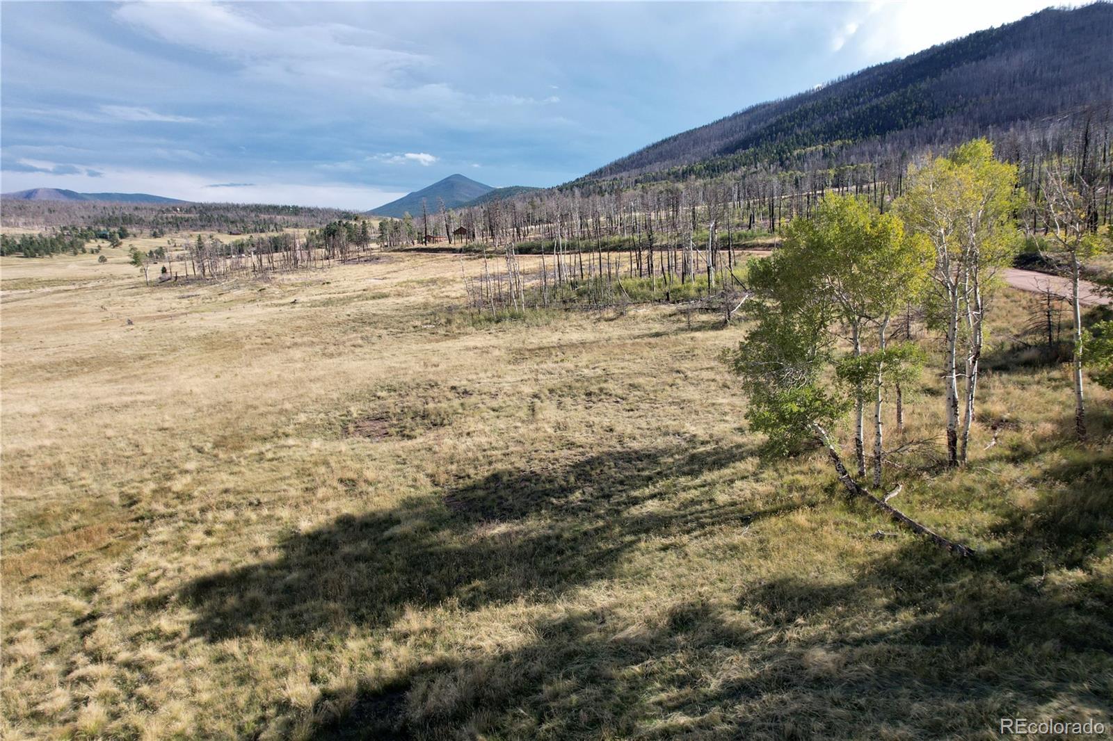 1809 Forbes Park Road, Fort Garland, CO 81133, ,Land,For Sale,Forbes Park,REC4354197