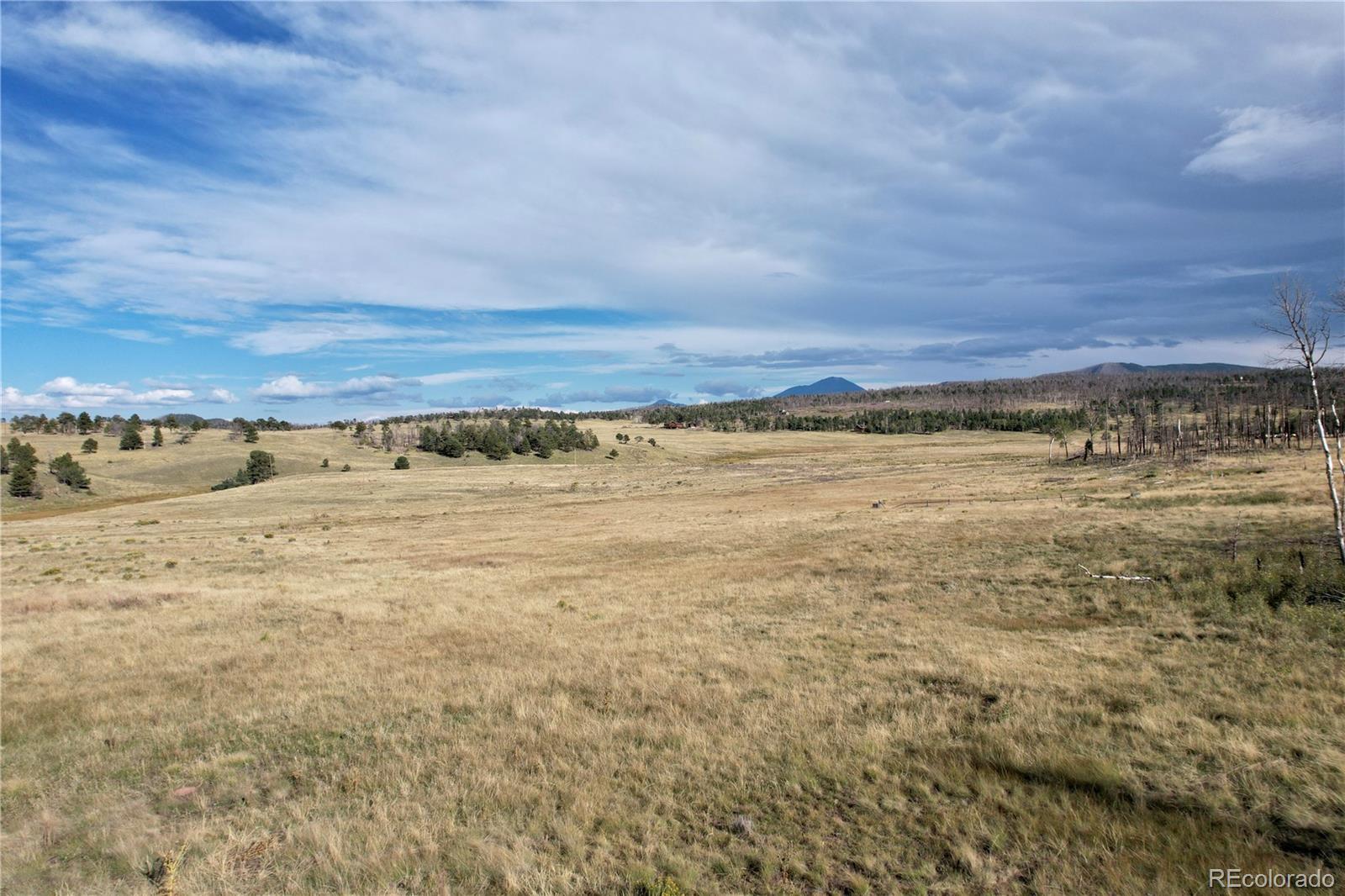 1809 Forbes Park Road, Fort Garland, CO 81133, ,Land,For Sale,Forbes Park,REC4354197