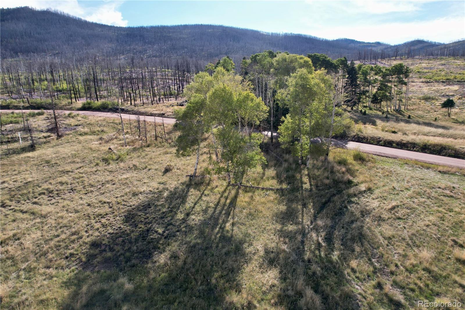 1809 Forbes Park Road, Fort Garland, CO 81133, ,Land,For Sale,Forbes Park,REC4354197