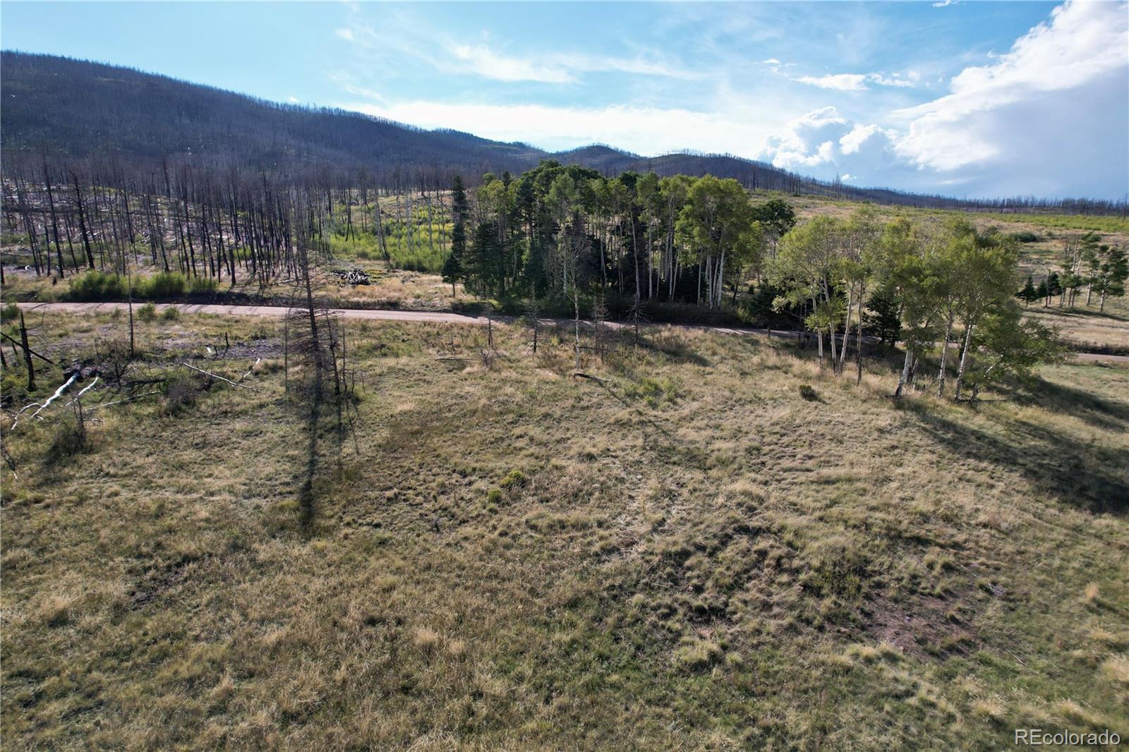 1809 Forbes Park Road, Fort Garland, CO 81133, ,Land,For Sale,Forbes Park,REC4354197