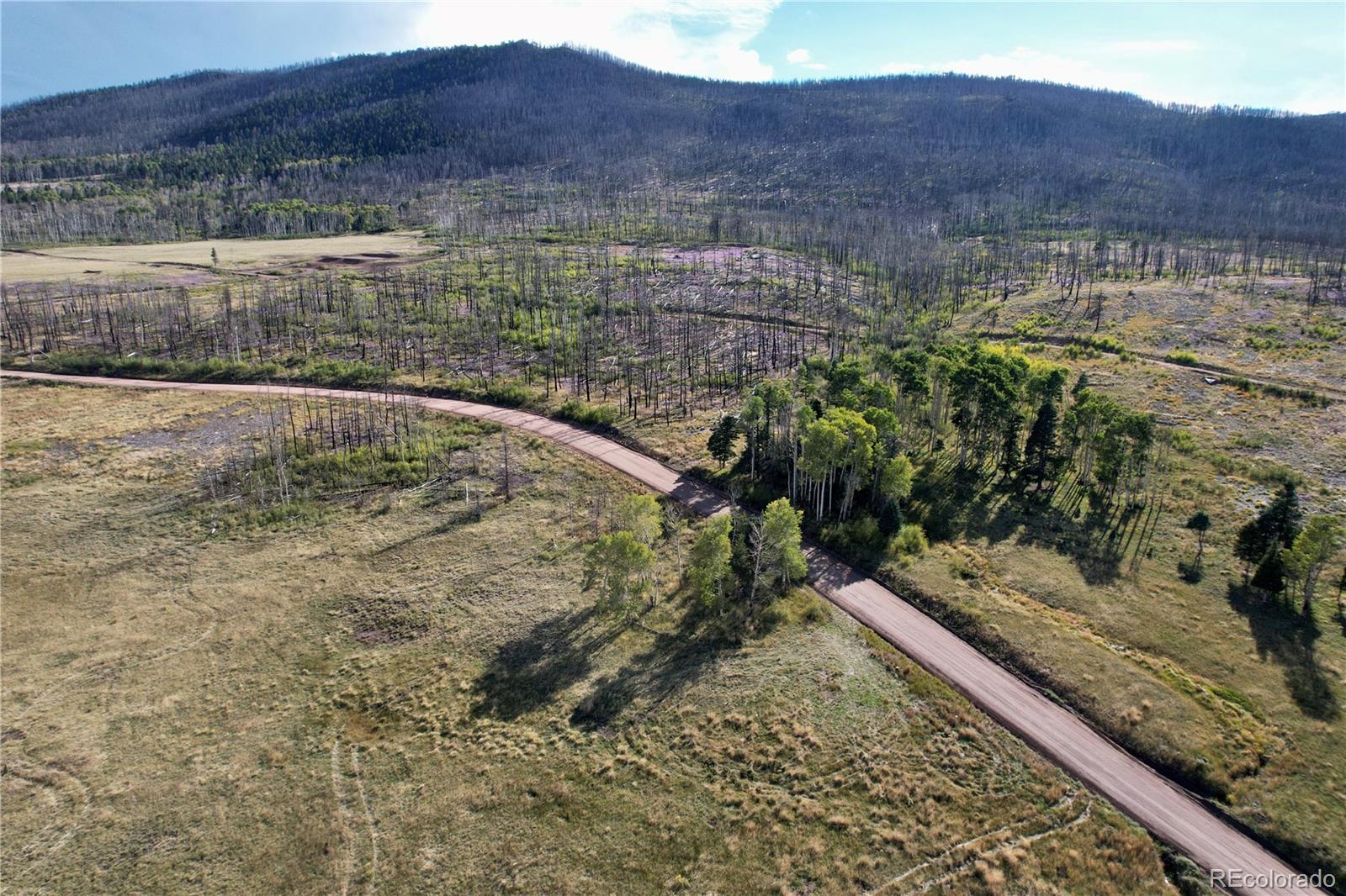 1809 Forbes Park Road, Fort Garland, CO 81133, ,Land,For Sale,Forbes Park,REC4354197