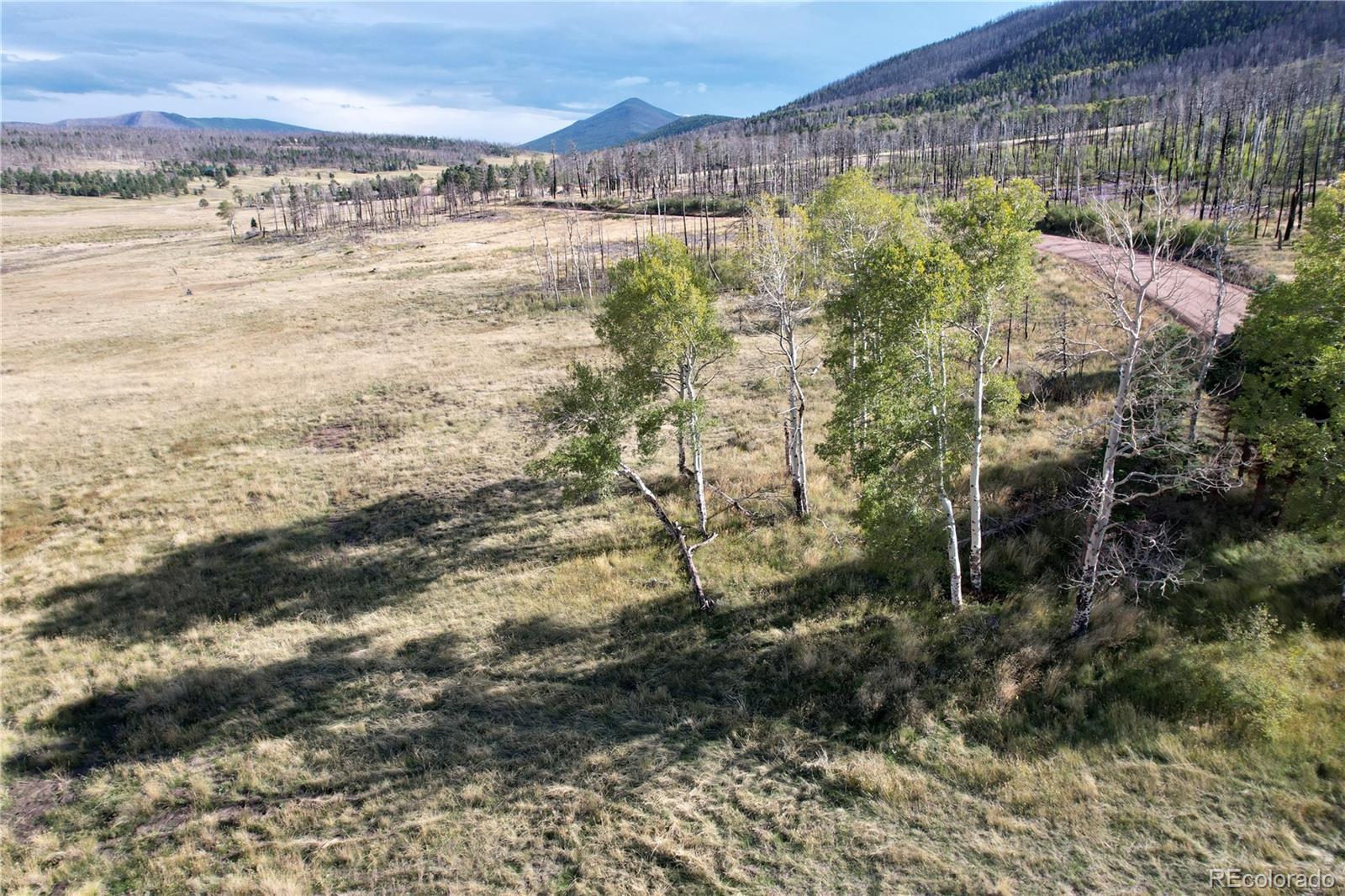 1809 Forbes Park Road, Fort Garland, CO 81133, ,Land,For Sale,Forbes Park,REC4354197