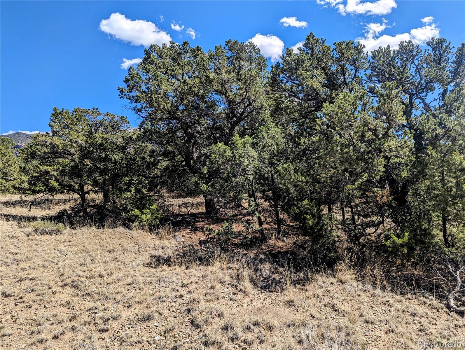 112 Indian Hill Road, Mosca, CO 81146, ,Land,For Sale,Indian Hill,REC3148178