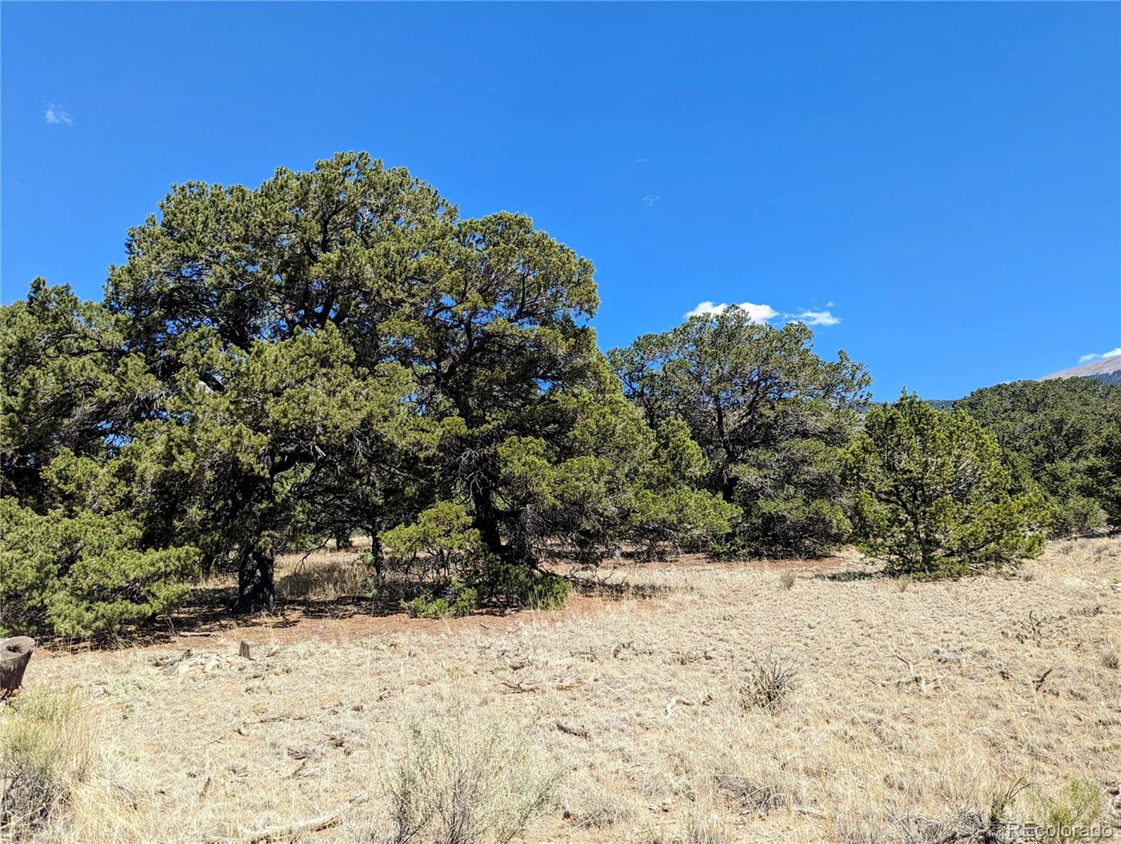 112 Indian Hill Road, Mosca, CO 81146, ,Land,For Sale,Indian Hill,REC3148178