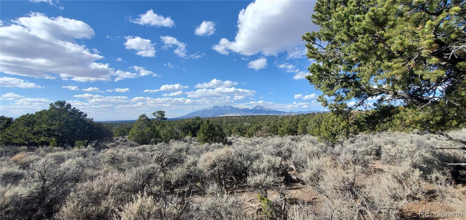 7060 Pamplin Road, Fort Garland, CO 81133, ,Land,For Sale,Pamplin,REC5603796