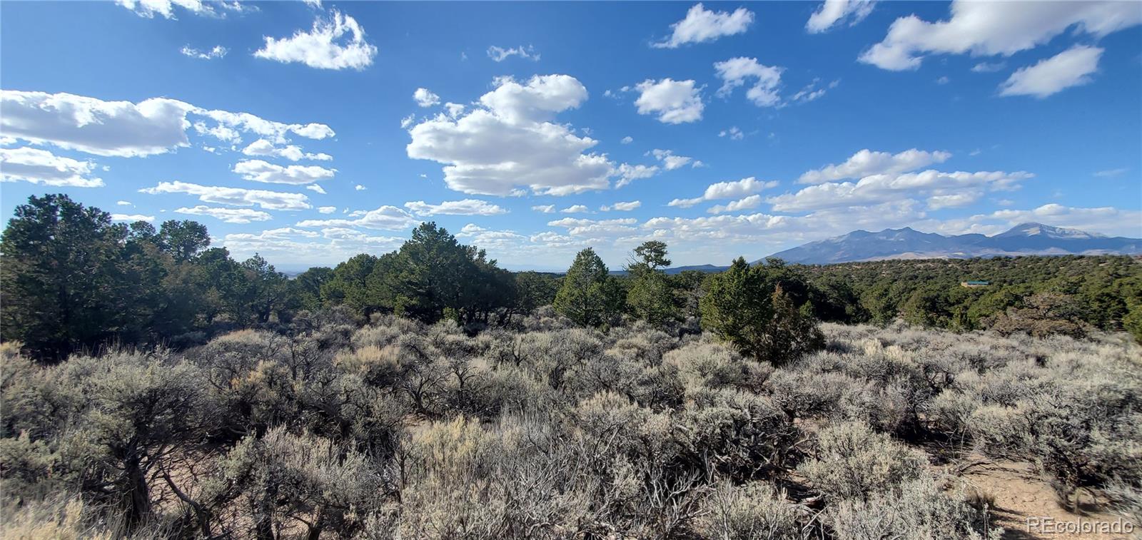 7060 Pamplin Road, Fort Garland, CO 81133, ,Land,For Sale,Pamplin,REC5603796