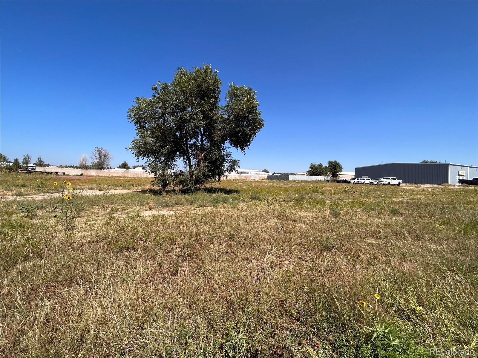 625 Paonia Street, Colorado Springs, CO 80915, ,Commercial Lease,For Rent,Paonia,REC9731058