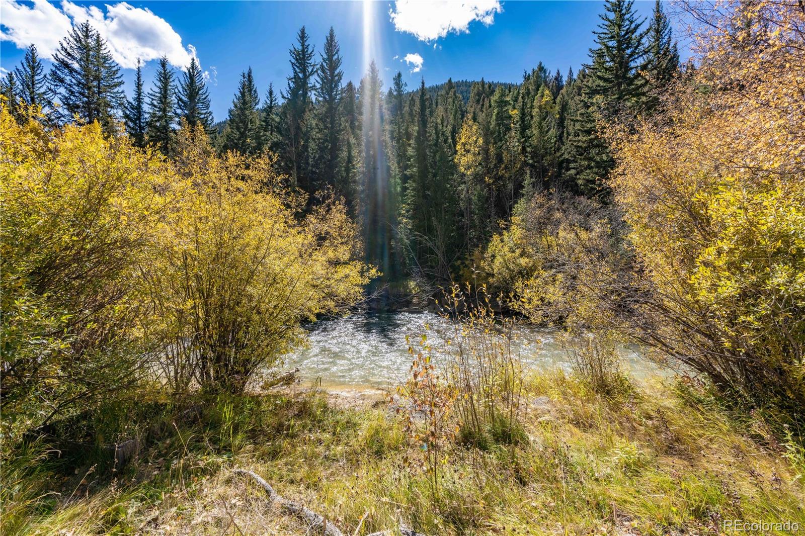 49542 US Highway 285, Grant, CO 80448, ,Commercial,For Sale,US Highway 285,REC8229100