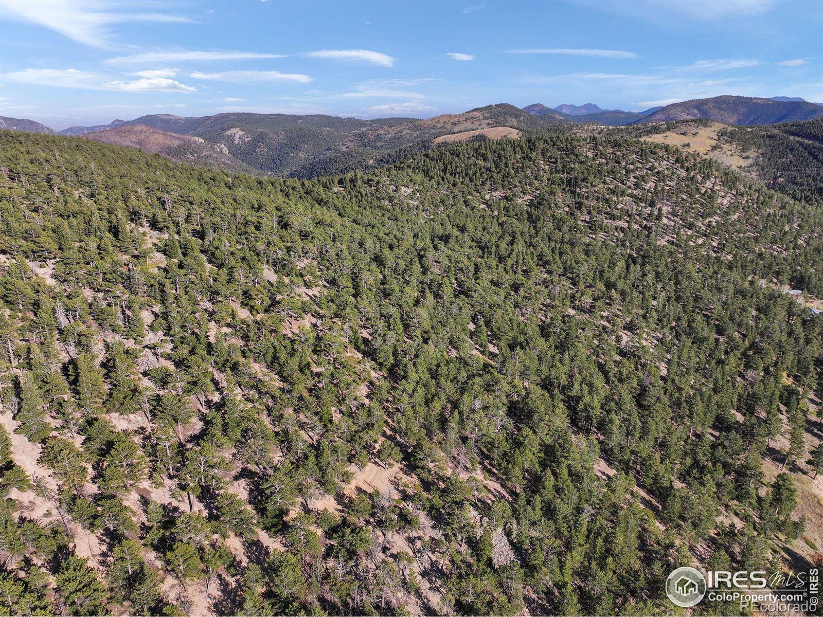 Indiana Gulch Road, Ward, CO 80481, ,Land,For Sale,Indiana Gulch,RECIR997587