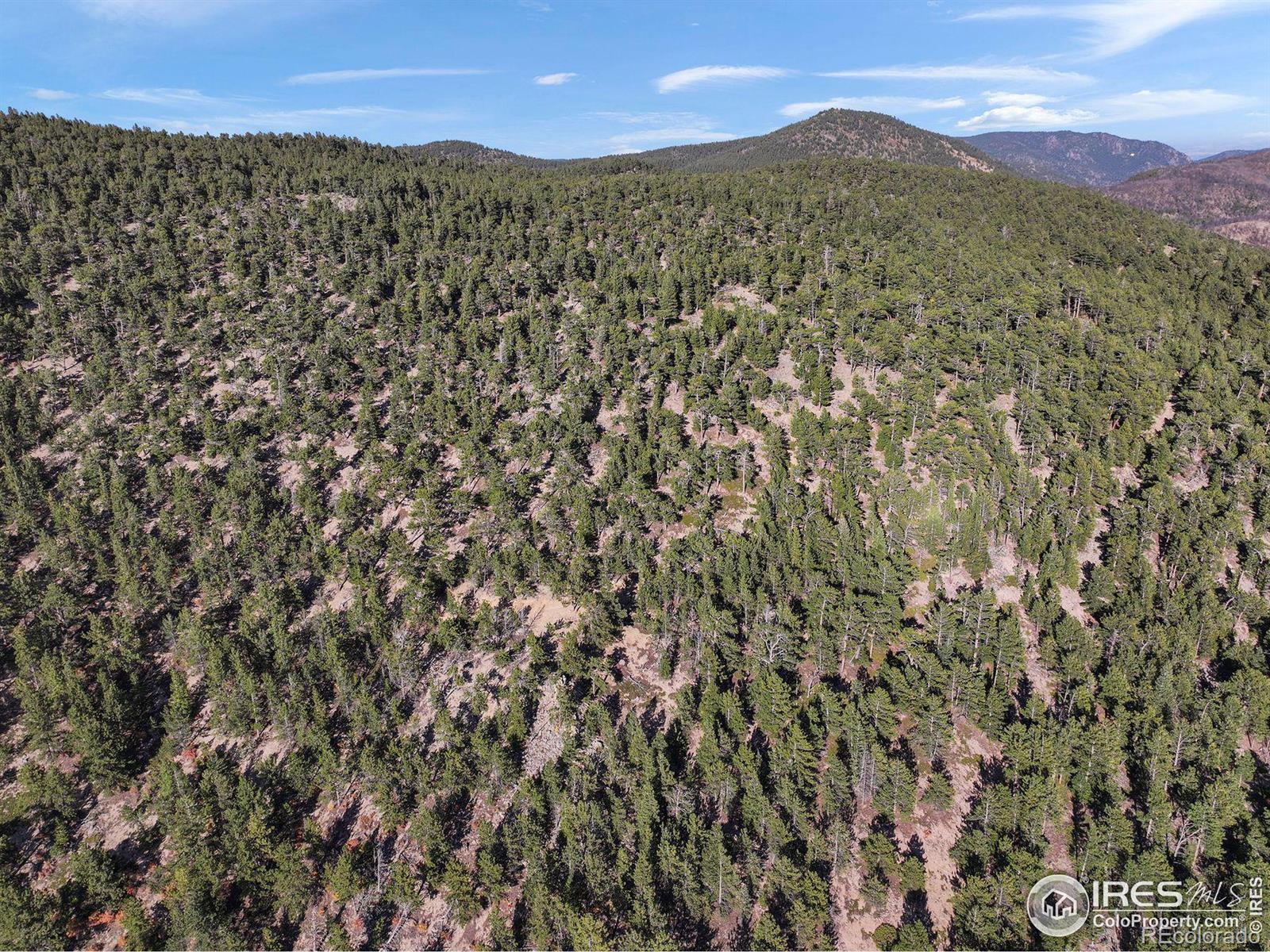 Indiana Gulch Road, Ward, CO 80481, ,Land,For Sale,Indiana Gulch,RECIR997587