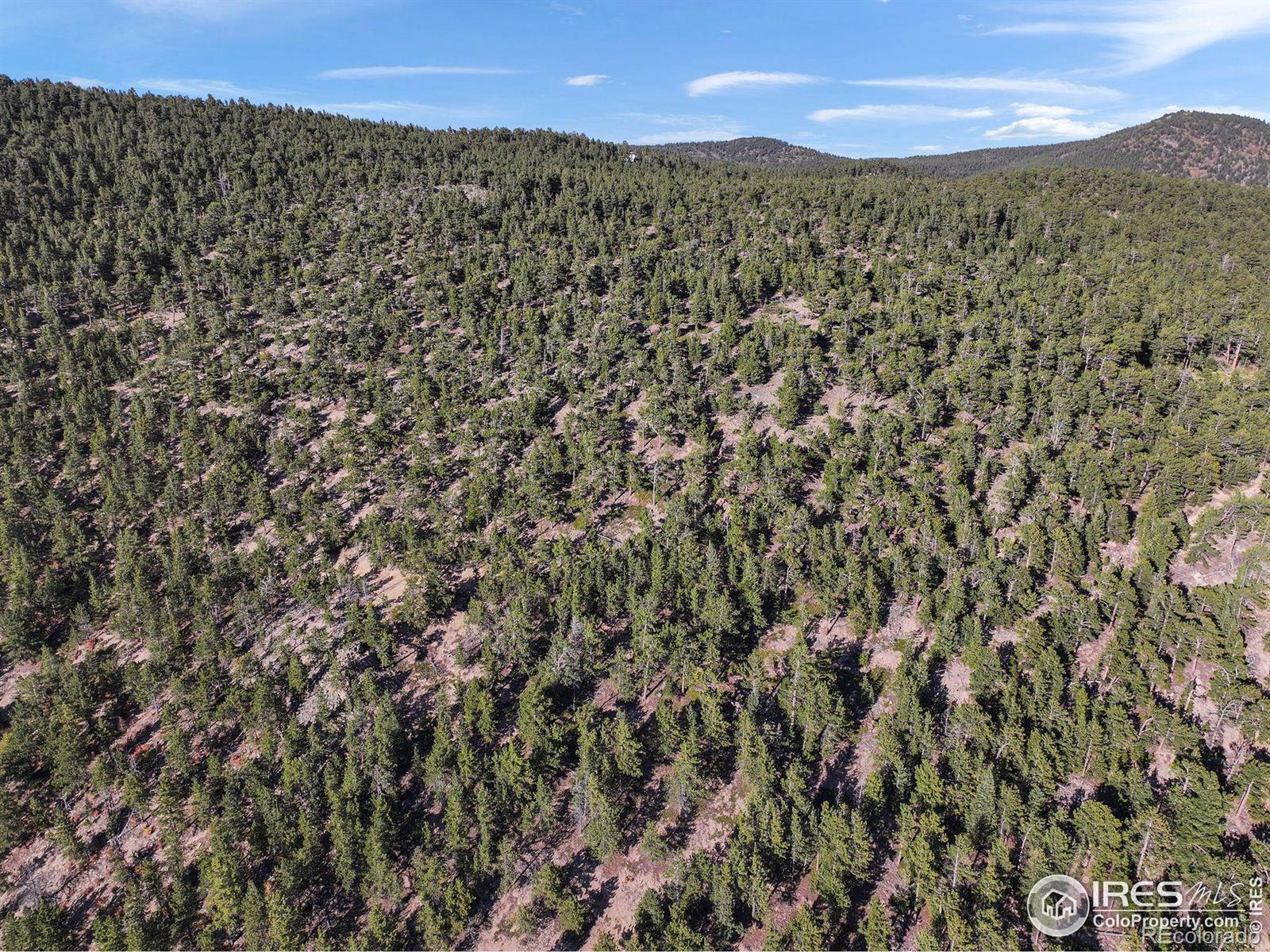 Indiana Gulch Road, Ward, CO 80481, ,Land,For Sale,Indiana Gulch,RECIR997587