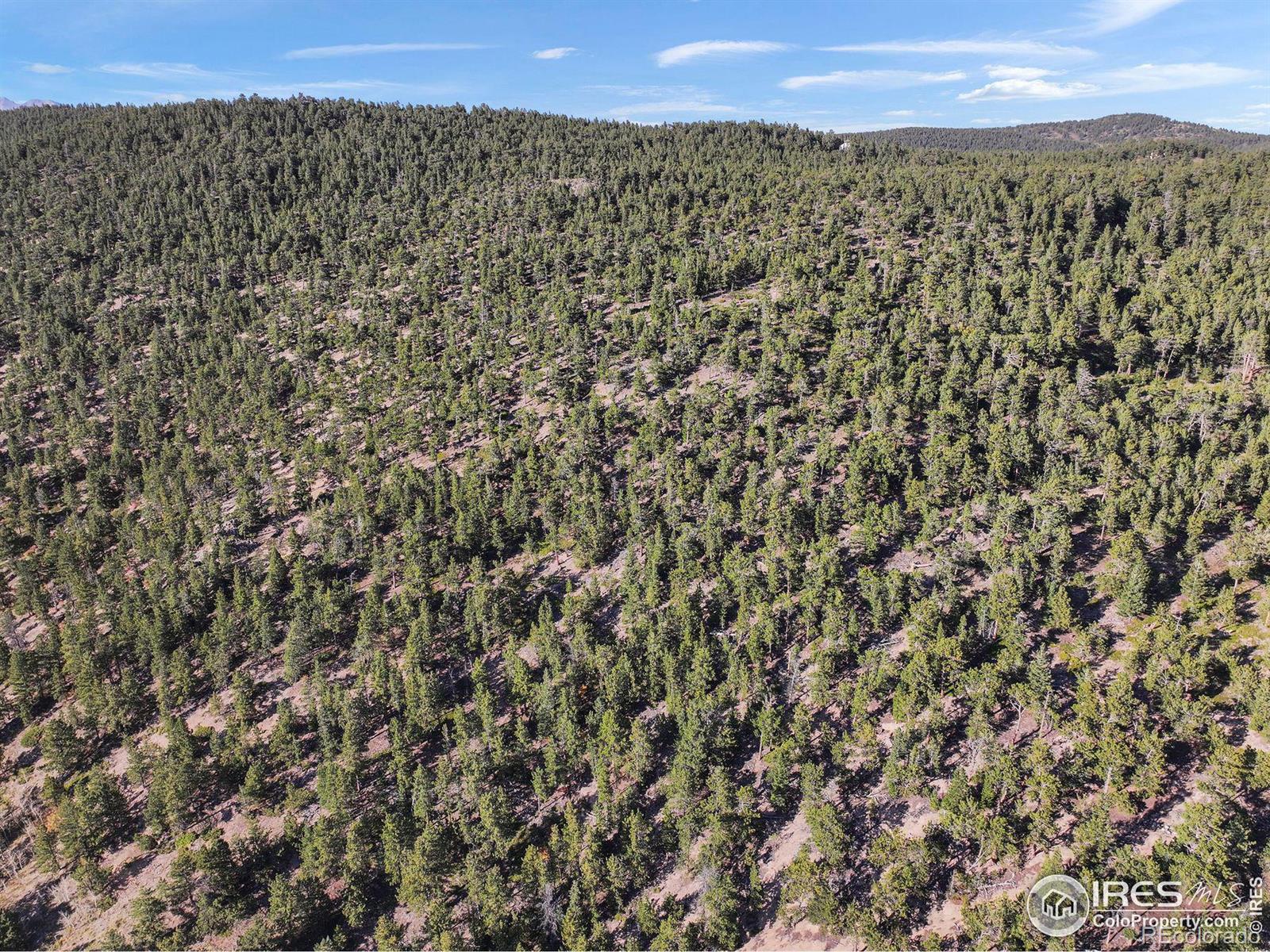 Indiana Gulch Road, Ward, CO 80481, ,Land,For Sale,Indiana Gulch,RECIR997587