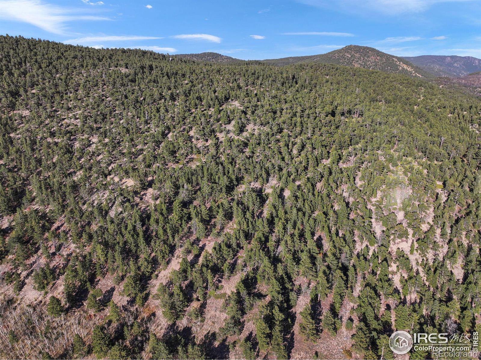 Indiana Gulch Road, Ward, CO 80481, ,Land,For Sale,Indiana Gulch,RECIR997587