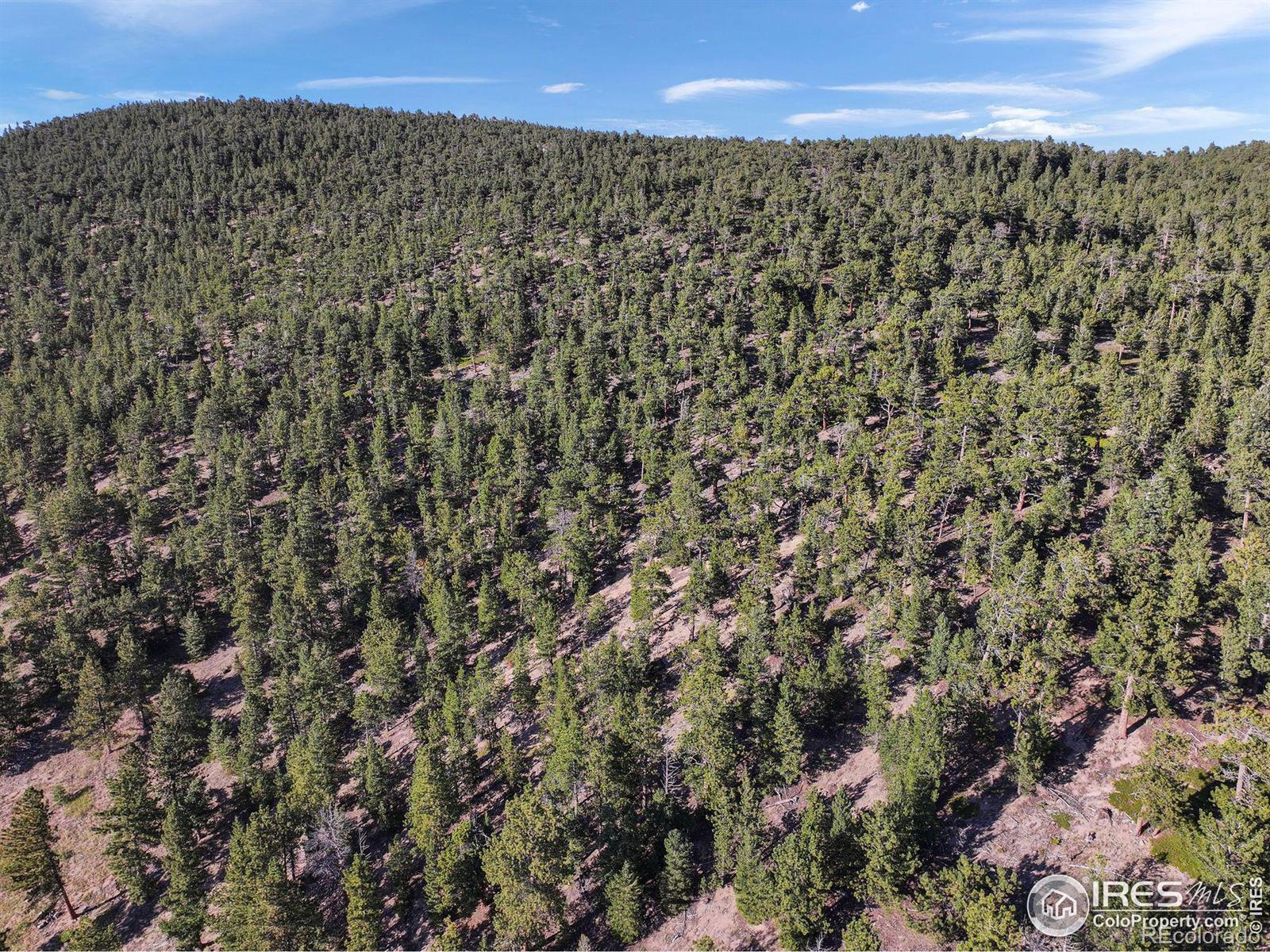 Indiana Gulch Road, Ward, CO 80481, ,Land,For Sale,Indiana Gulch,RECIR997587
