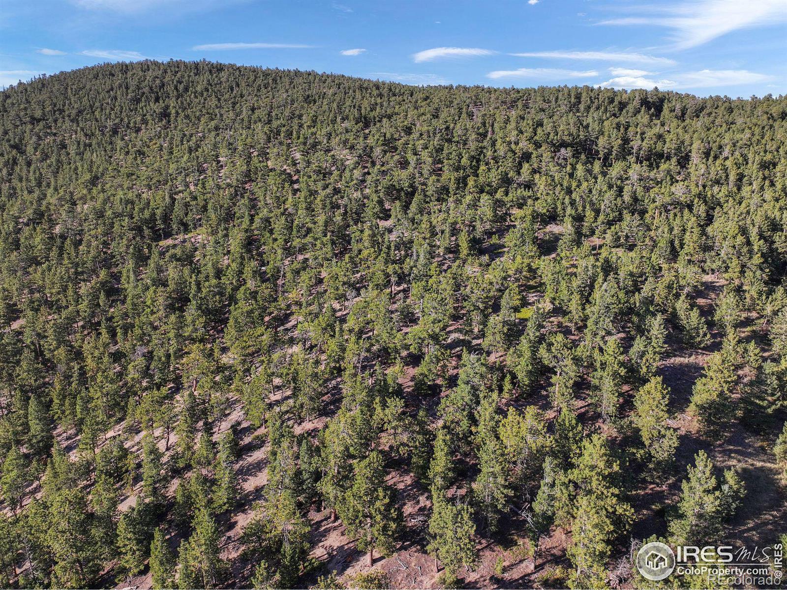 Indiana Gulch Road, Ward, CO 80481, ,Land,For Sale,Indiana Gulch,RECIR997587