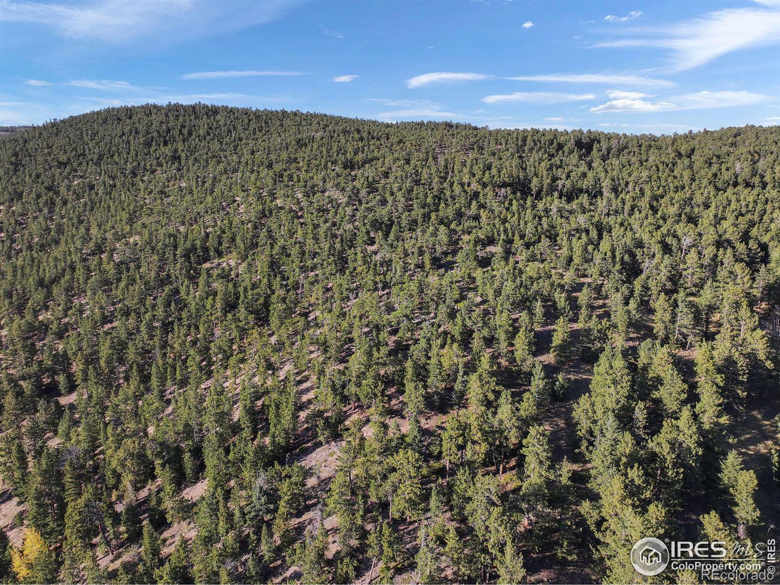 Indiana Gulch Road, Ward, CO 80481, ,Land,For Sale,Indiana Gulch,RECIR997587