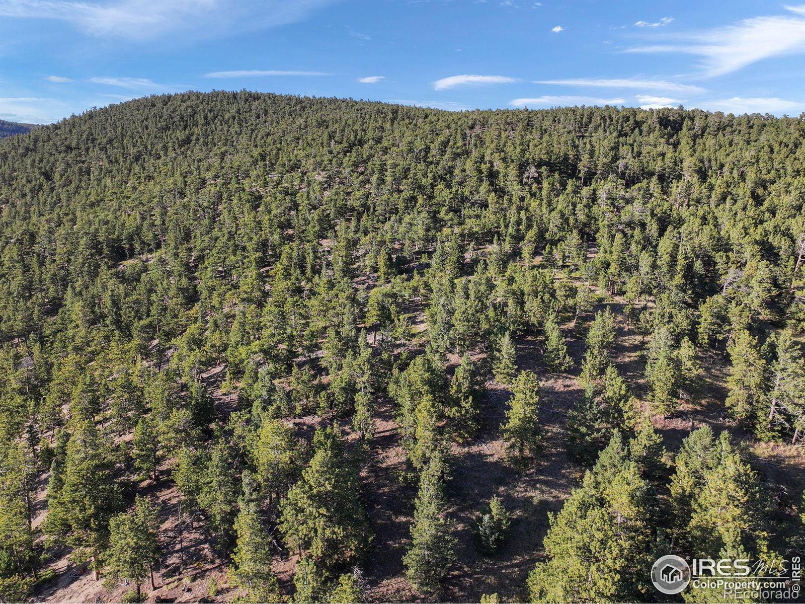 Indiana Gulch Road, Ward, CO 80481, ,Land,For Sale,Indiana Gulch,RECIR997587