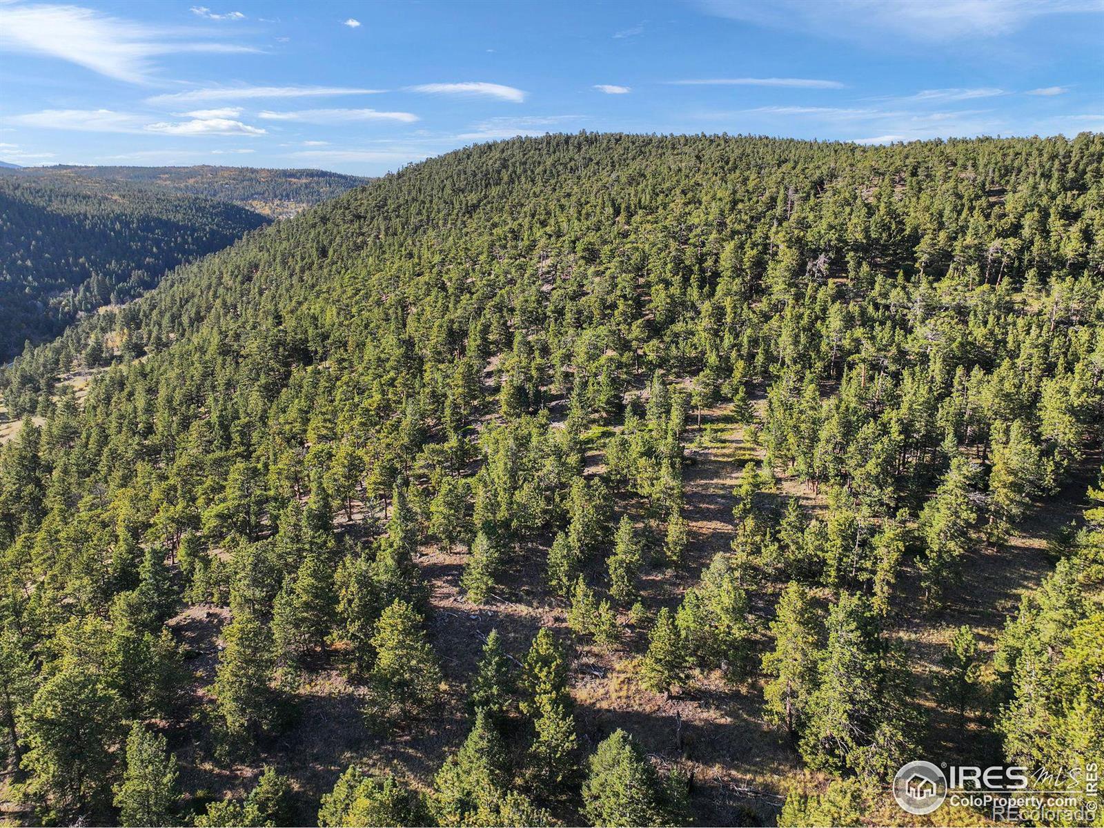 Indiana Gulch Road, Ward, CO 80481, ,Land,For Sale,Indiana Gulch,RECIR997587