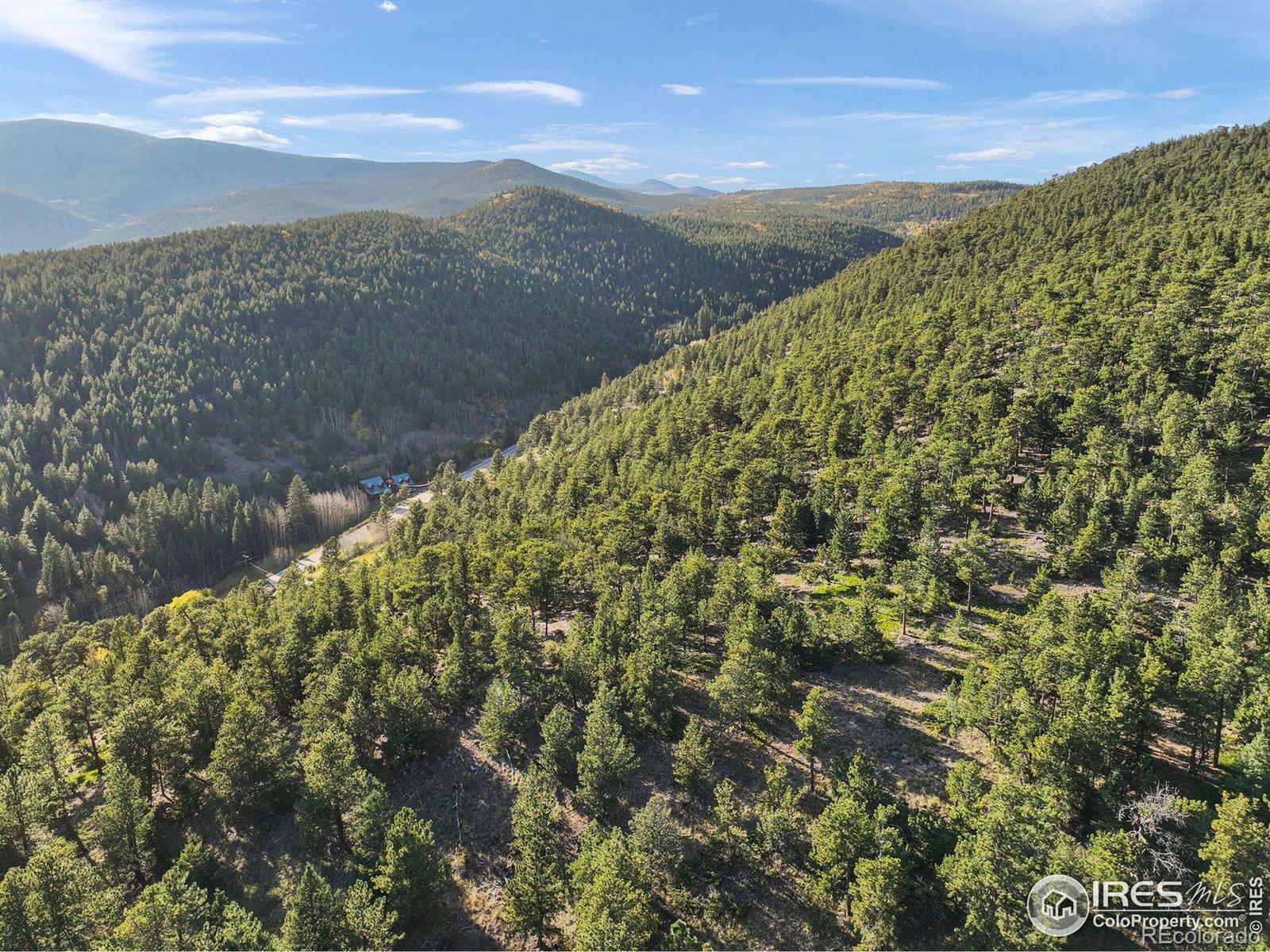 Indiana Gulch Road, Ward, CO 80481, ,Land,For Sale,Indiana Gulch,RECIR997587